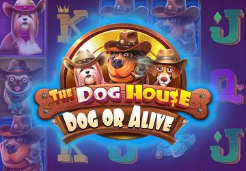 Слот The Dog House Dog Or Alive в Money X Casino